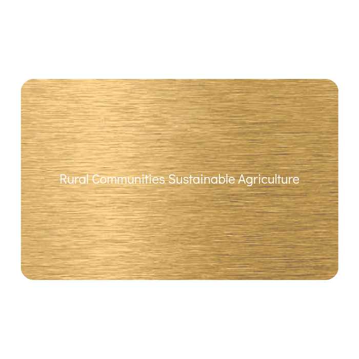 WHOSiFY NFC Business Card (Gold)