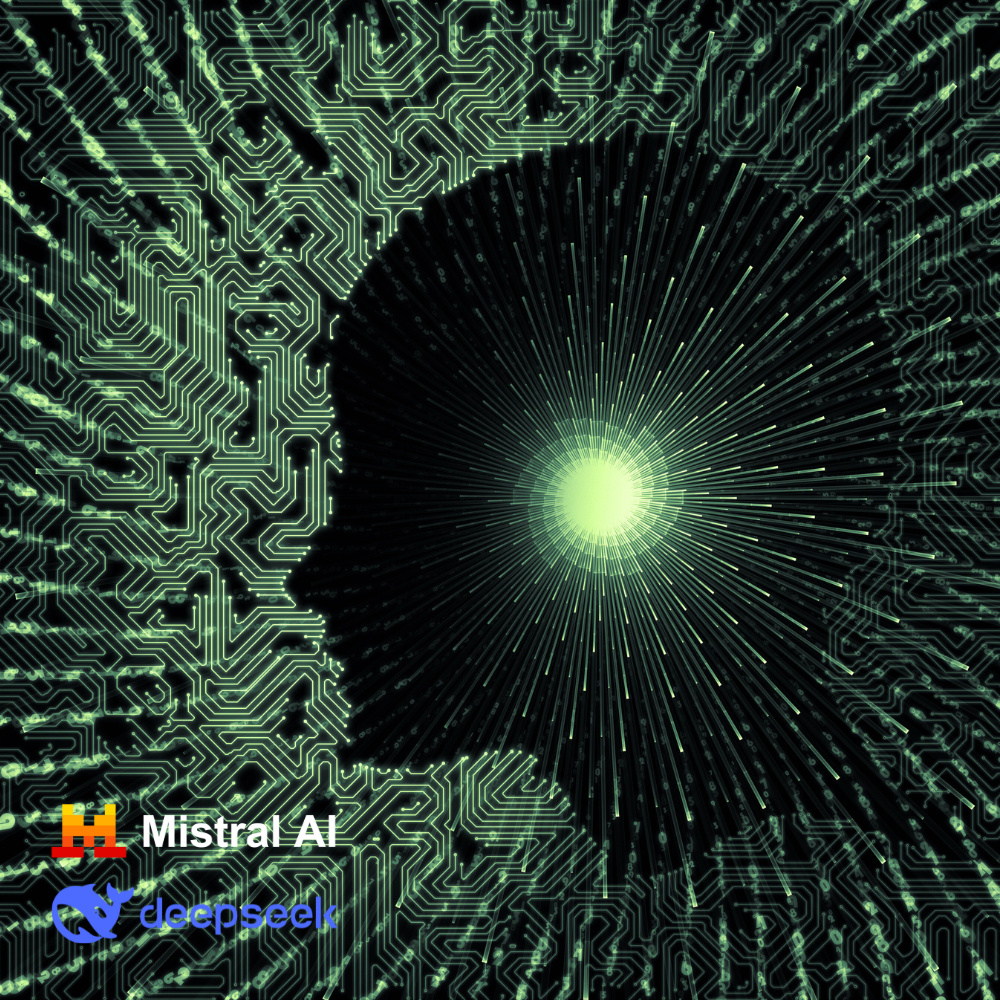 WHOSiFY NFC Business Card (Rose Gold)