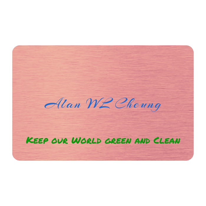 WHOSiFY NFC Business Card (Rose Gold)