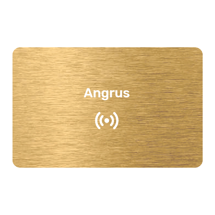 WHOSiFY NFC Business Card (Gold)