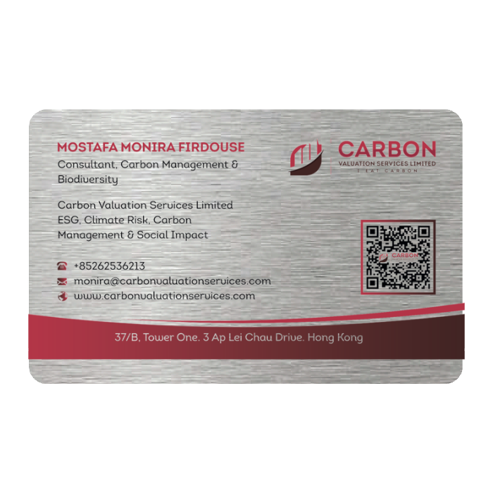 WHOSiFY NFC Business Card (Silver)